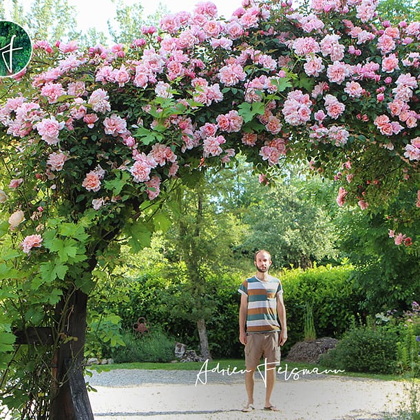 Adrien Felsmann paysagiste à Toulouse et conception de jardins écologiques