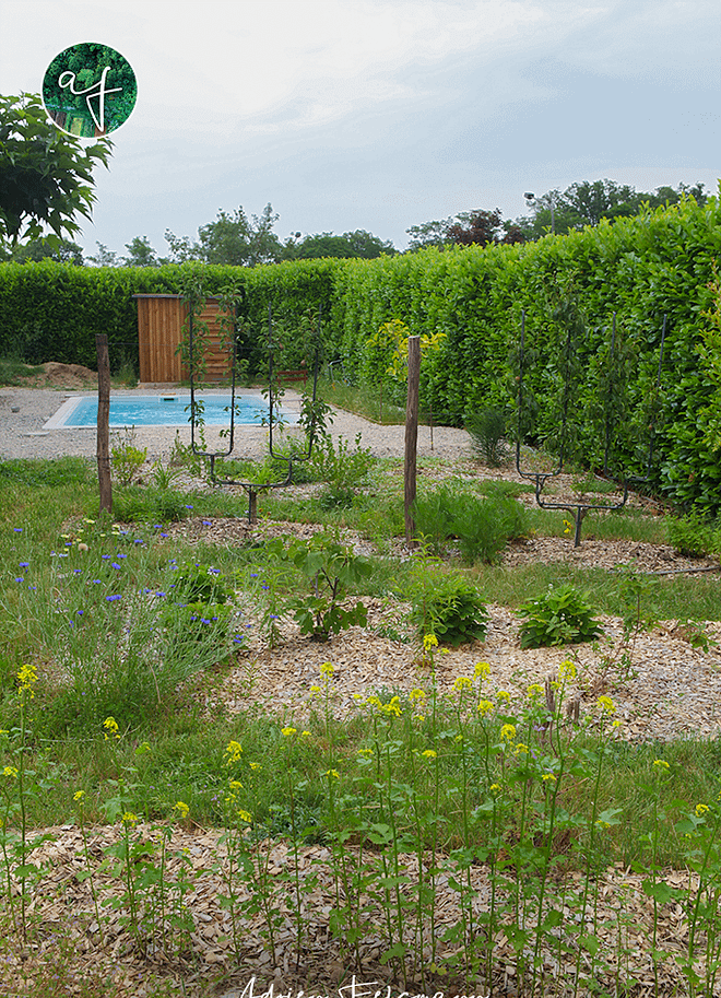 Jardin nourricier avec piscine et verger