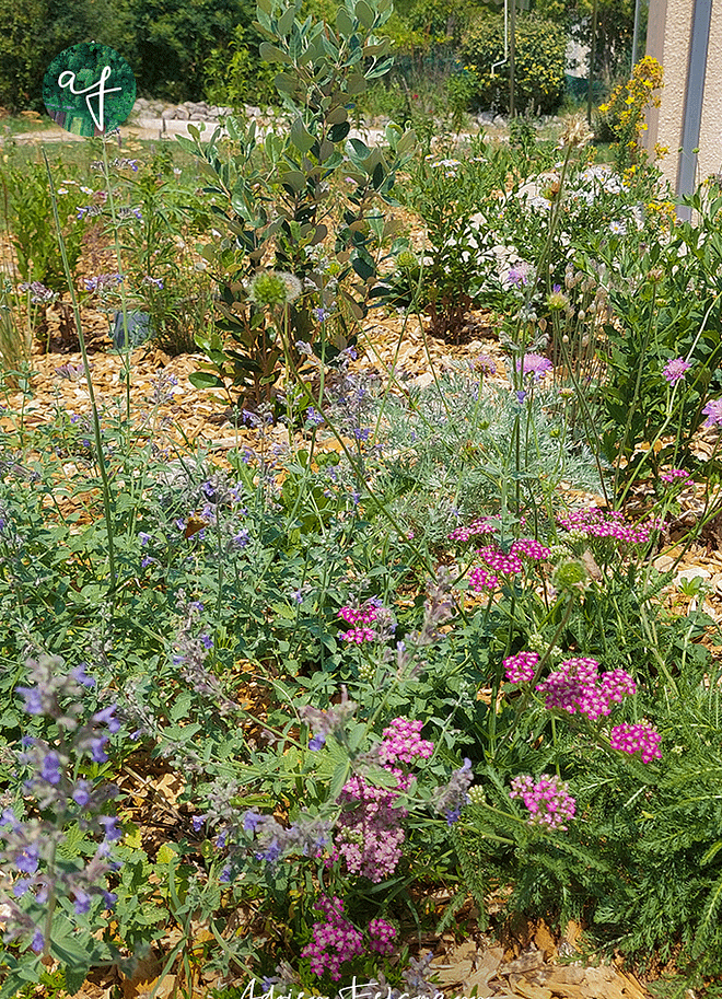 Massif naturaliste fleuri à toutes les saisons