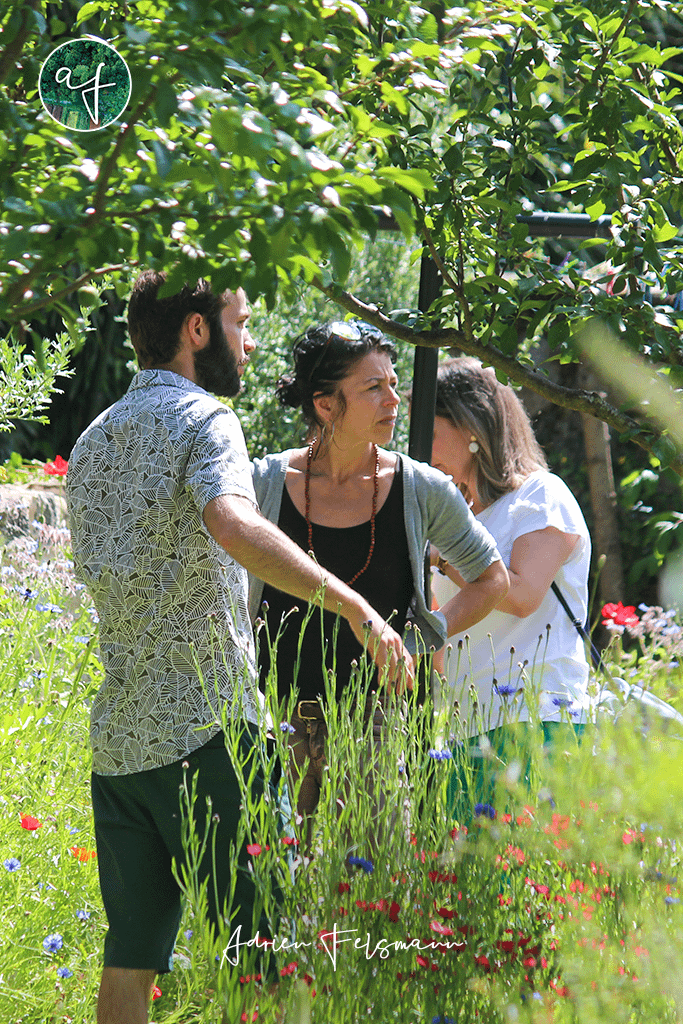 Coaching jardin naturel à Toulouse