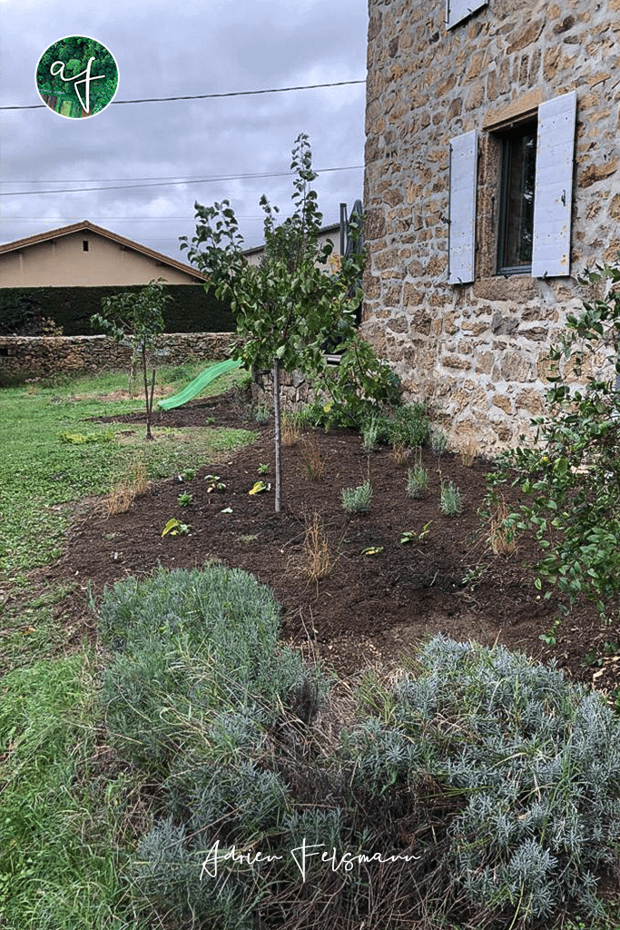 Plantations suite à un accompagnement à la conception de jardin