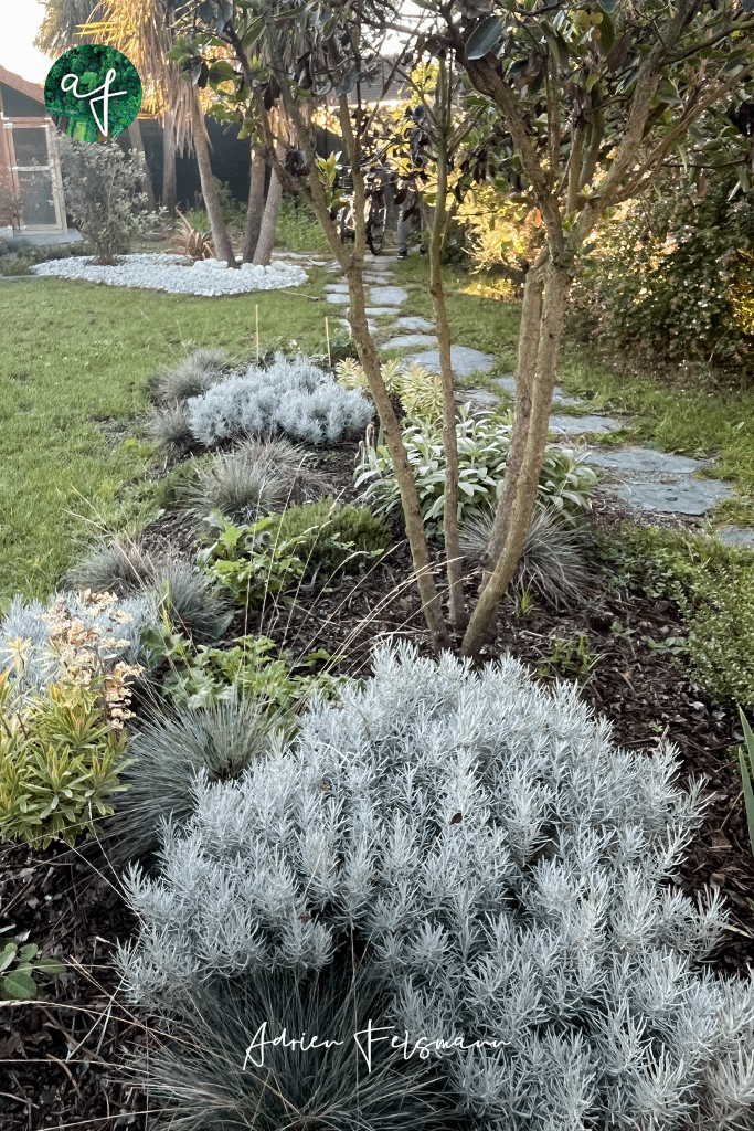 Accompagnement conception de jardin massif écologique