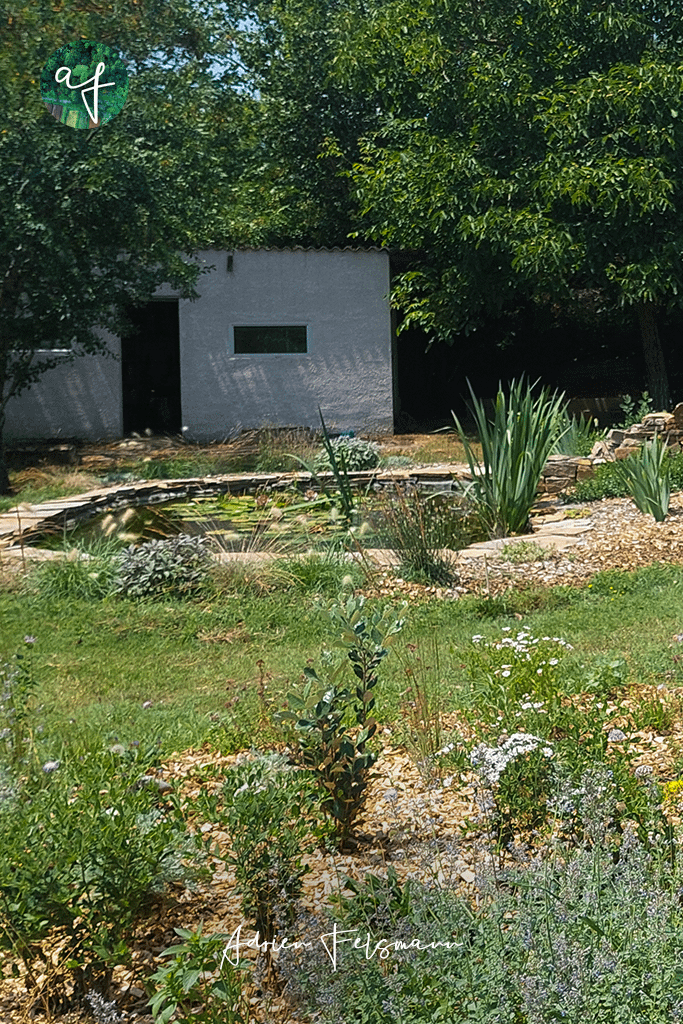 Bassin naturel et cascade à Fontenilles 31 avant les travaux
