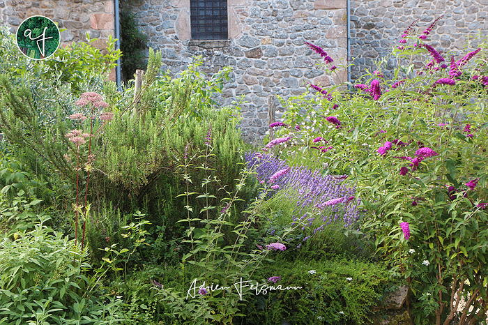 Association de plantes mellifères