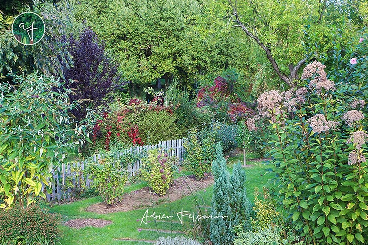 Haie de petits fruits au jardin des Chambres du Presbytère