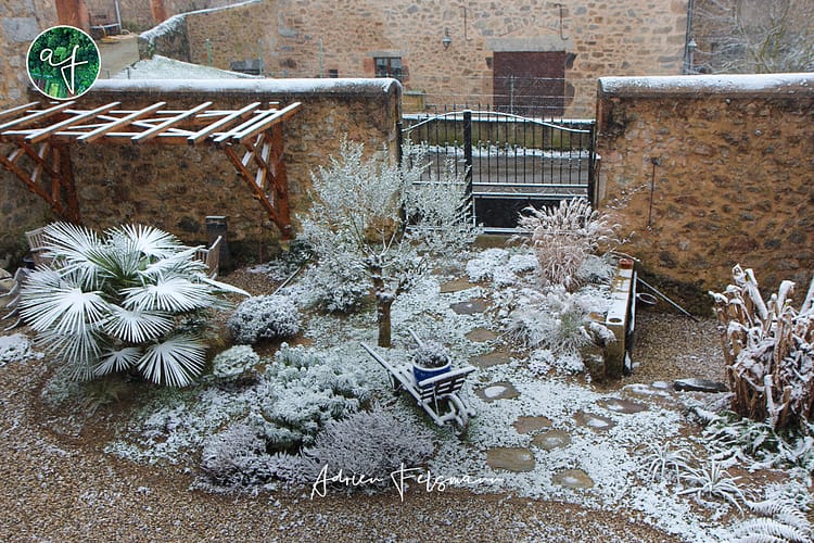 Jardin méditerranéen en hiver