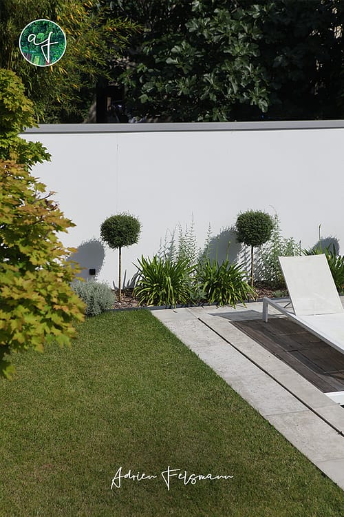 Topiaire et agapanthe dans un jardin minimaliste