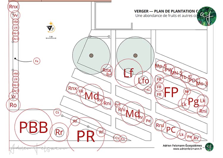 Plan de plantation du jardin inspiré par l'agroforesterie