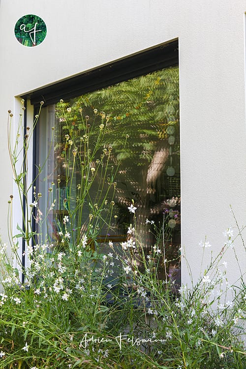 Fenêtre fleurie donnant sur le jardin