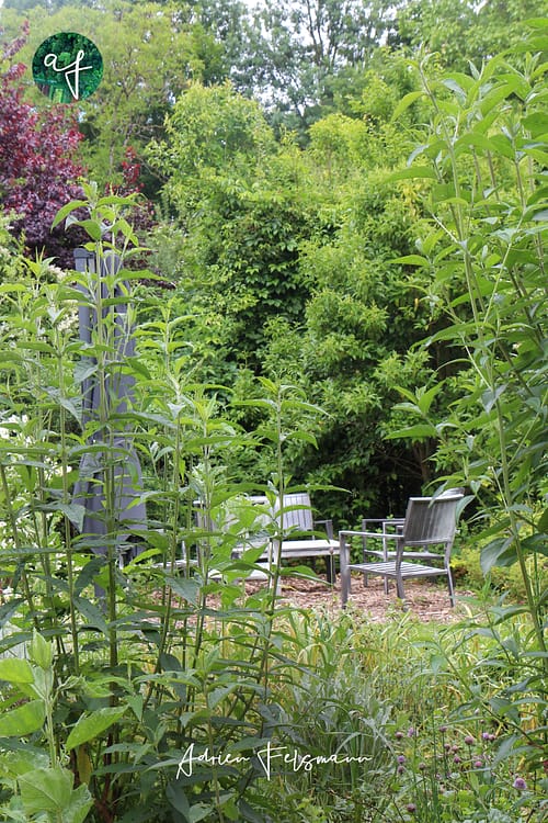 Coin senteurs et parfums au jardin des sens