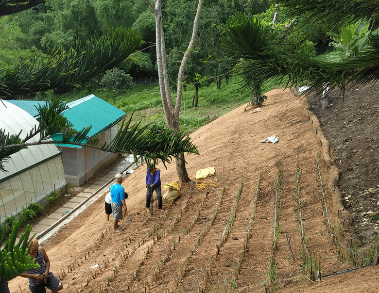 Toile de paillage en fibre de coco sur des berges