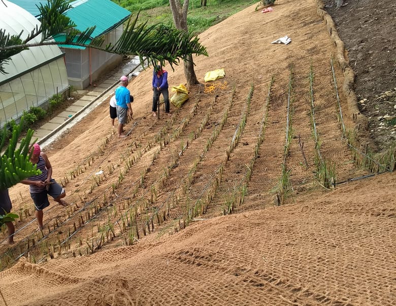Toile de paillage en fibre de coco sur des berges