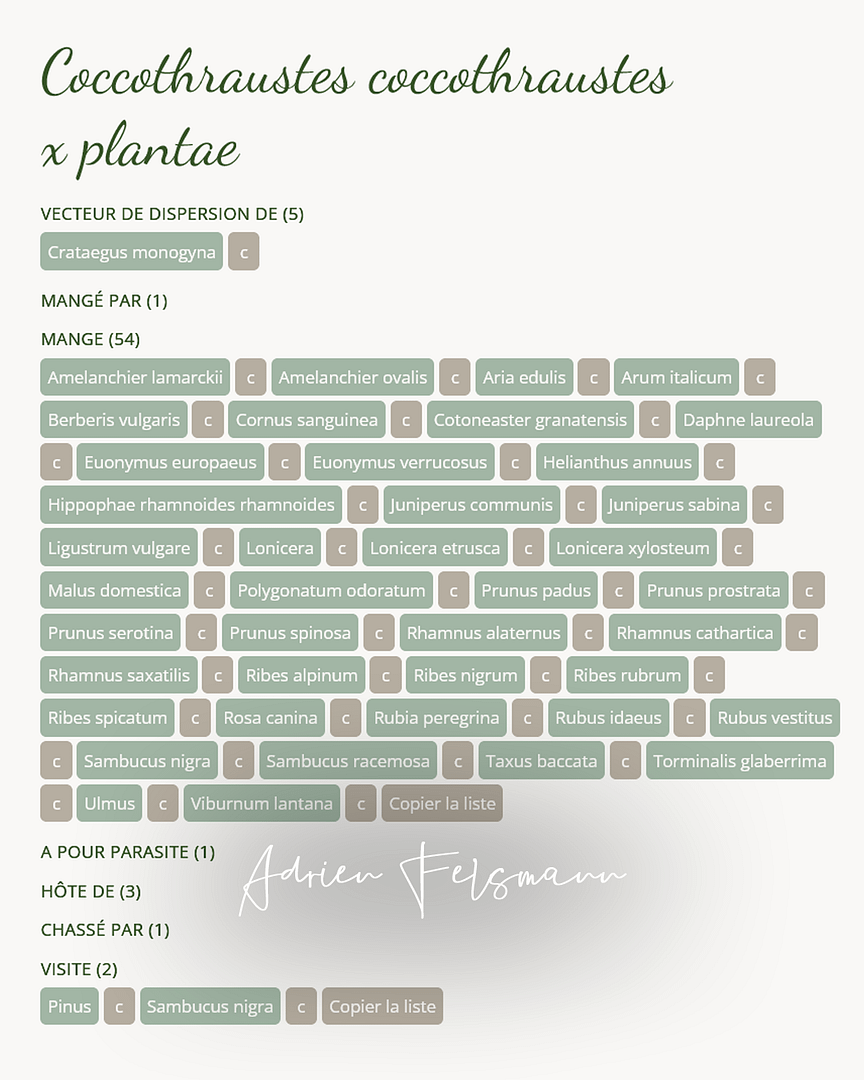 Plantes mangées par le gros-bec casse noyaux