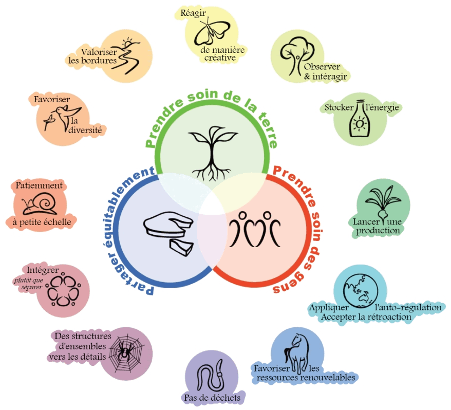 Principes de conception en permaculture