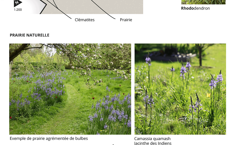 Un jardin qui s'inspire de la nature