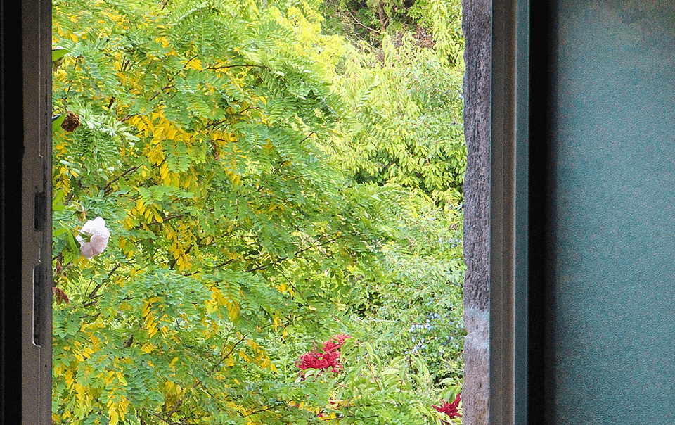 Fenêtre ouverte sur le jardin