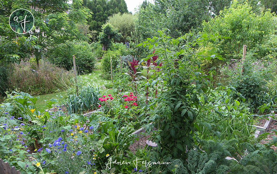 Jardin forêt fleuri