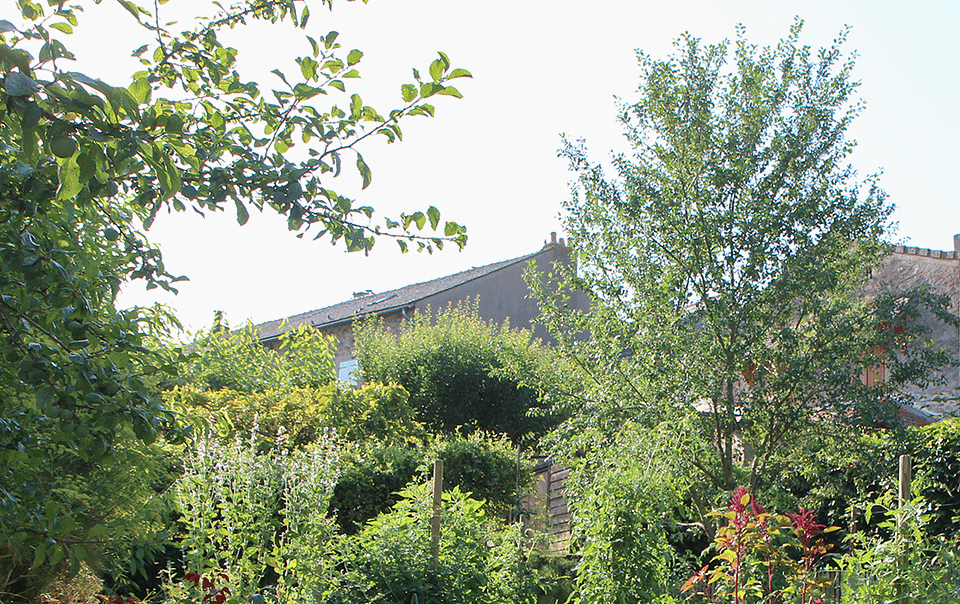Potager avec des arbres dans un jardin inspiré par l'agroforesterie