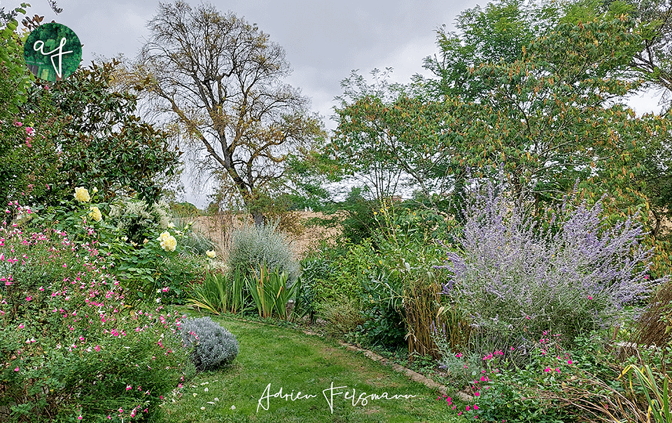 Jardin de particulier écologique à Toulouse