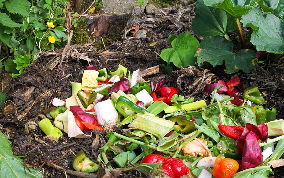 Compostage de surface