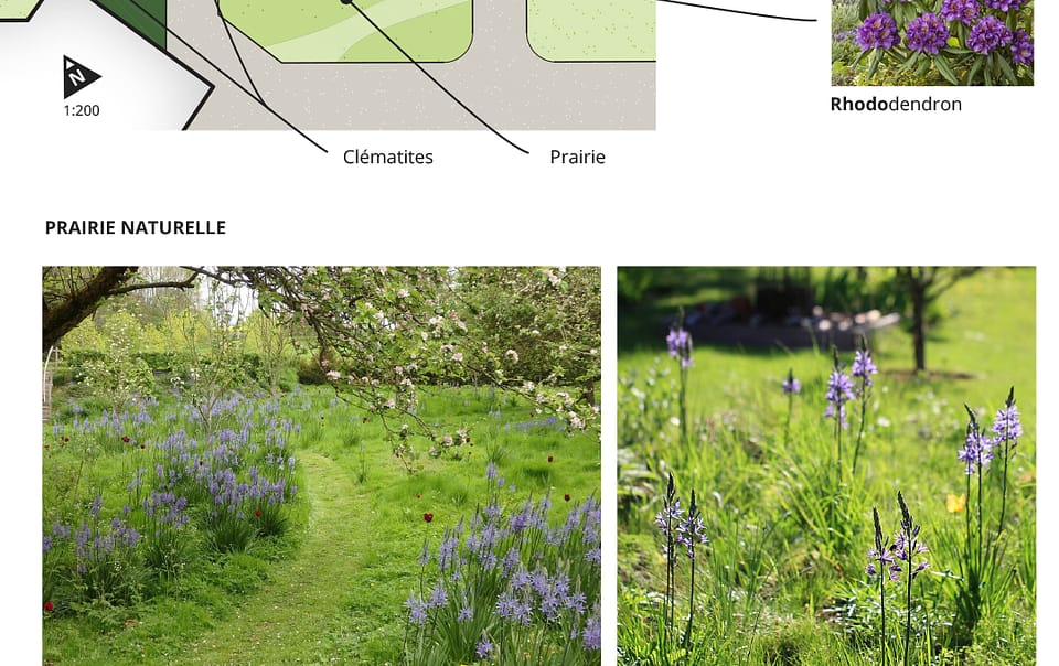 Un jardin qui s'inspire de la nature