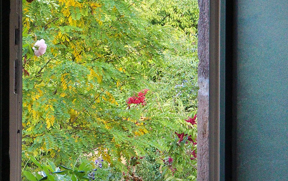 Fenêtre ouverte sur le jardin
