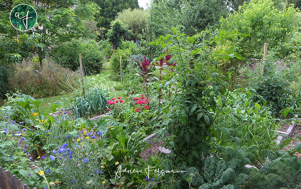 Jardin forêt fleuri