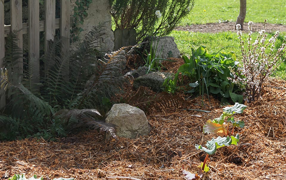 Broyat de bois au jardin naturel