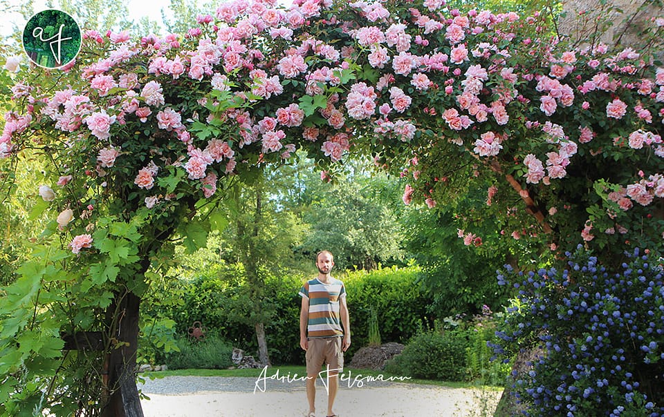 Adrien Felsmann paysagiste à Toulouse et conception de jardins écologiques