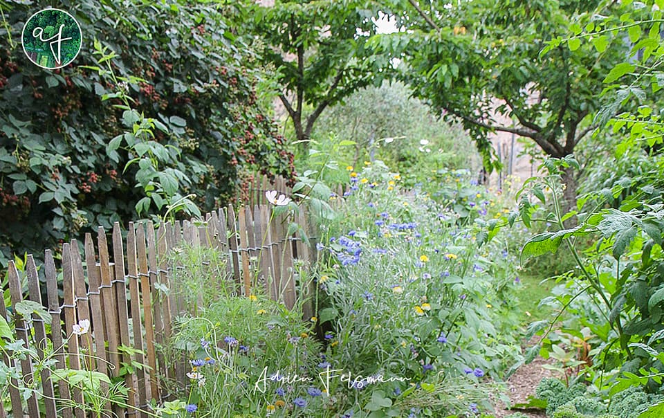 Jardin forêt nourricier et fleuri