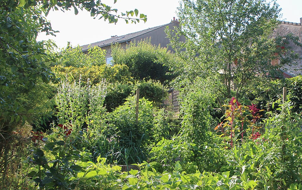 Potager avec des arbres dans un jardin inspiré par l'agroforesterie