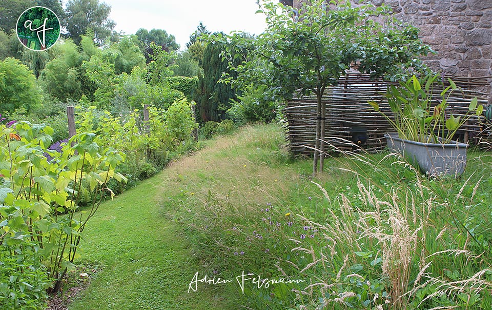 Prairie naturelle