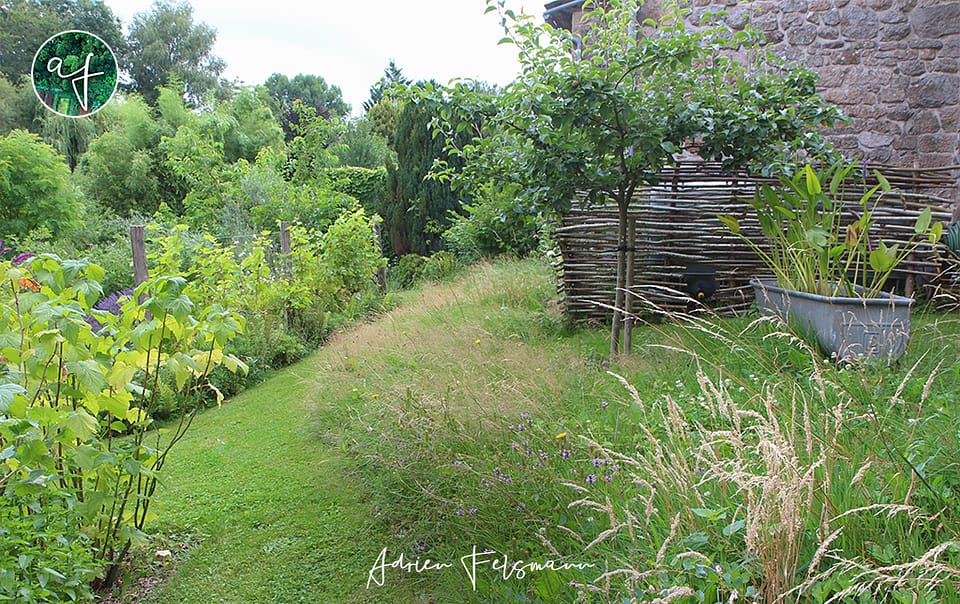 Prairie naturelle