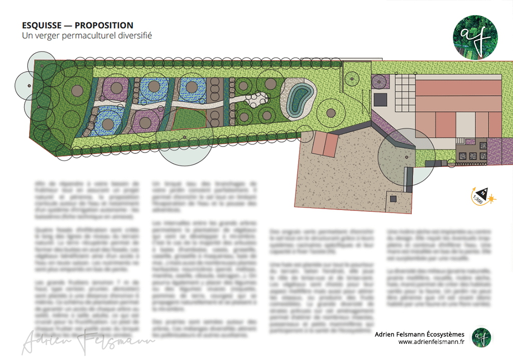 Verger familial urbain et biodiversité
