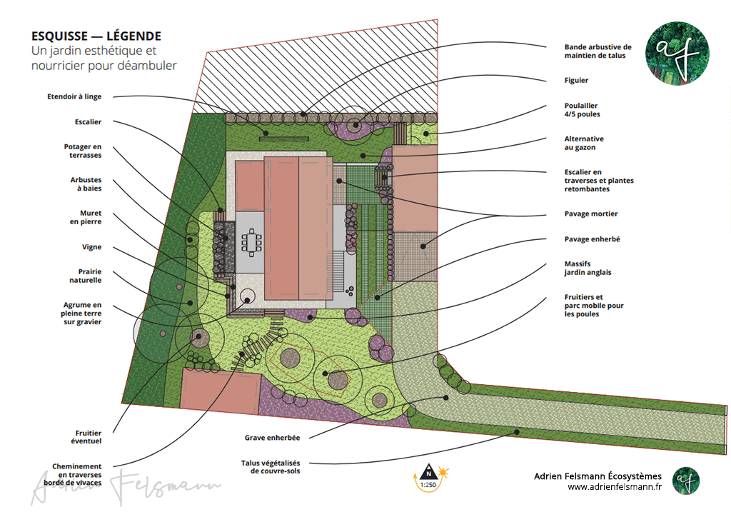 Plan de conception de jardin écologique