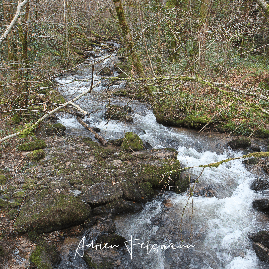 Rivière le Lézert en Aveyron