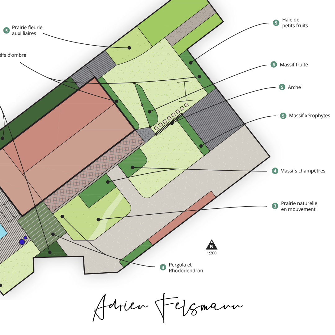 Plan de conception de jardin naturel