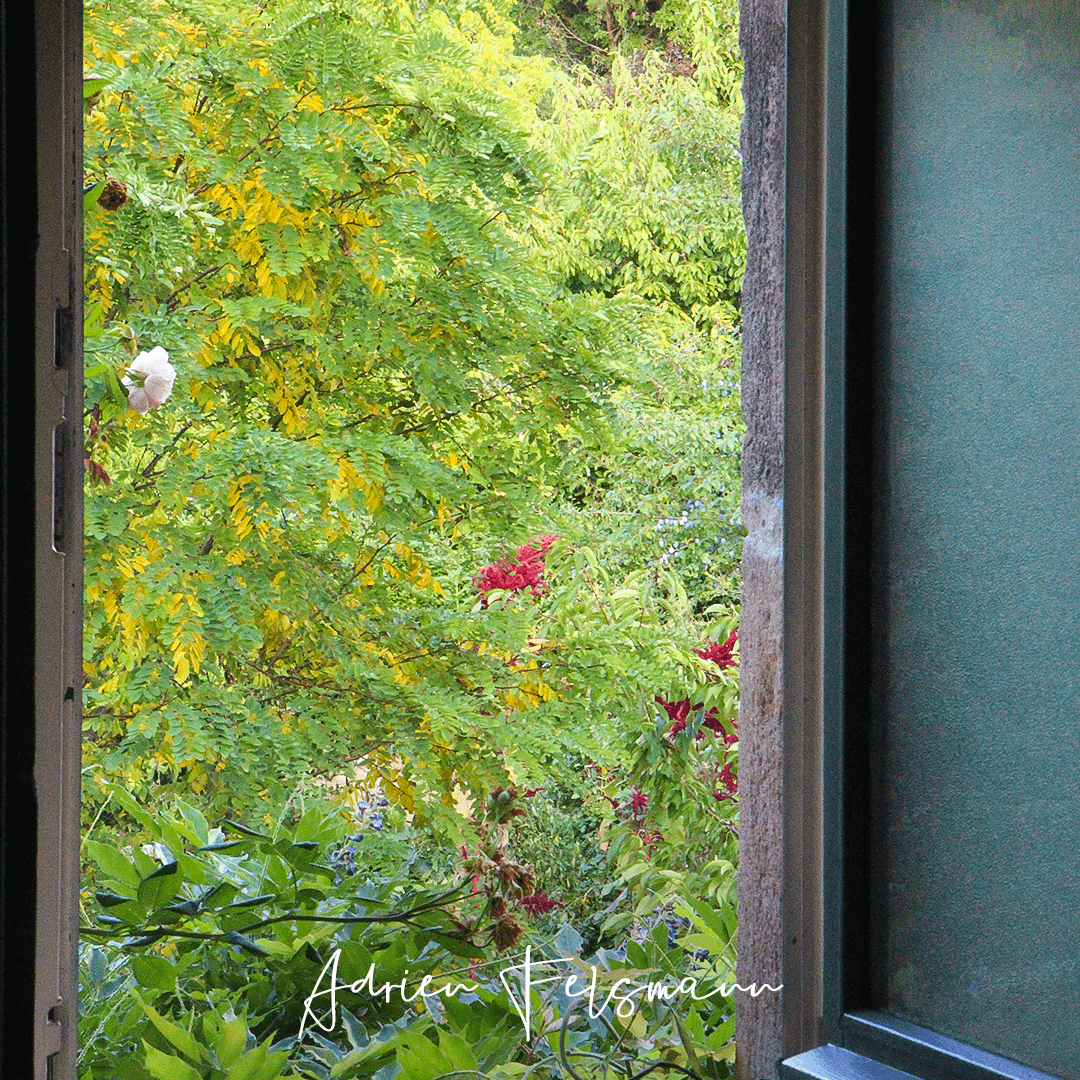 Fenêtre ouverte sur le jardin