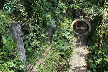 Jardin surréaliste d'Edward James au Mexique