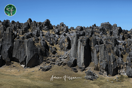 Forêt de pierres au Pérou