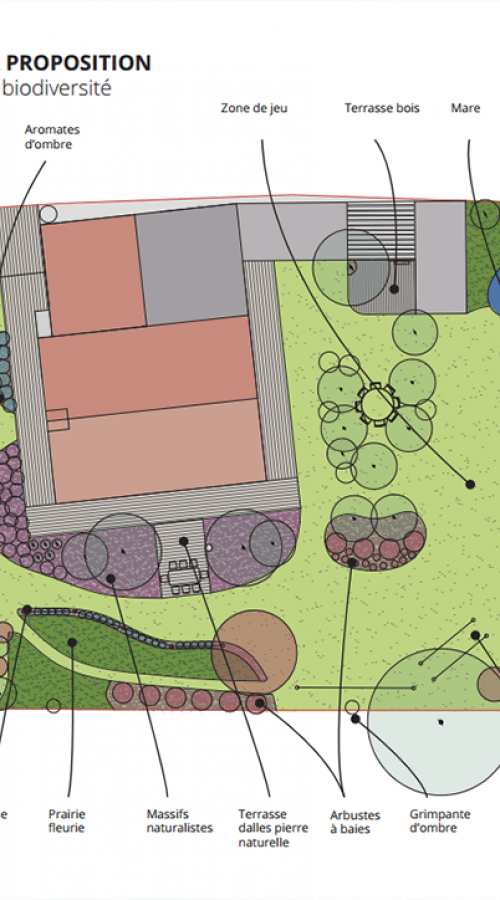 Plan de conception de jardin