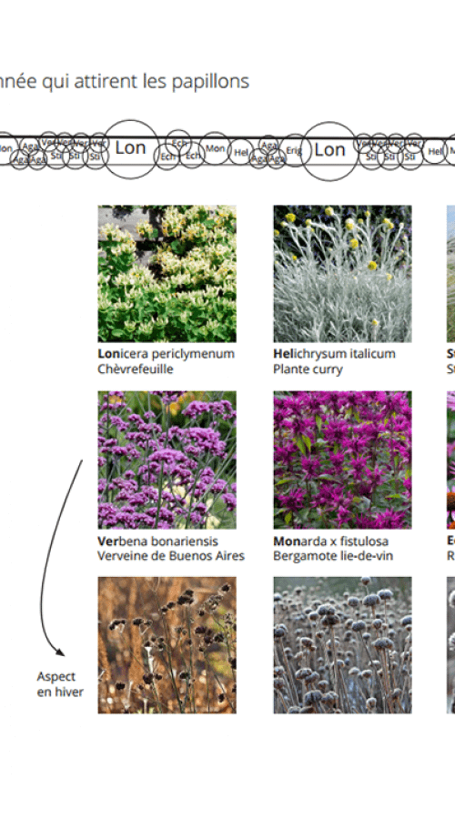 Palette végétale et plan de plantation