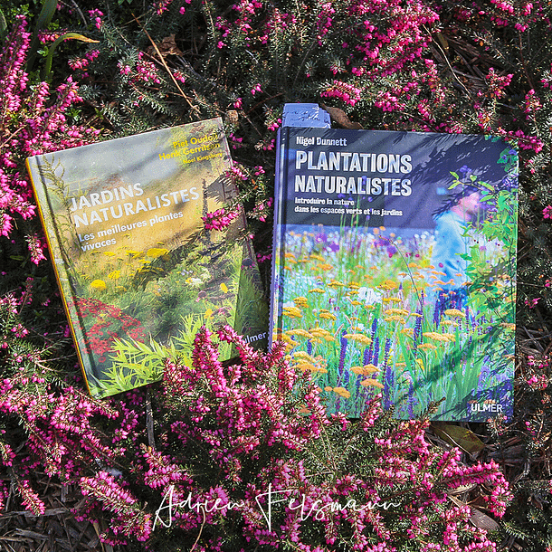 Deux livres sur le jardin naturaliste