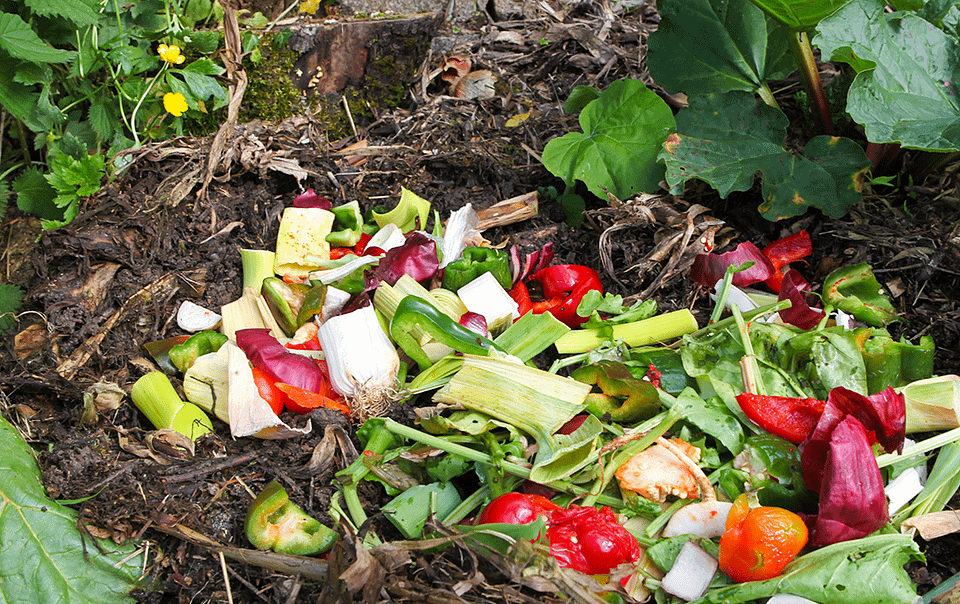 Compostage de surface